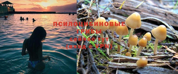 прущая мука Алексеевка