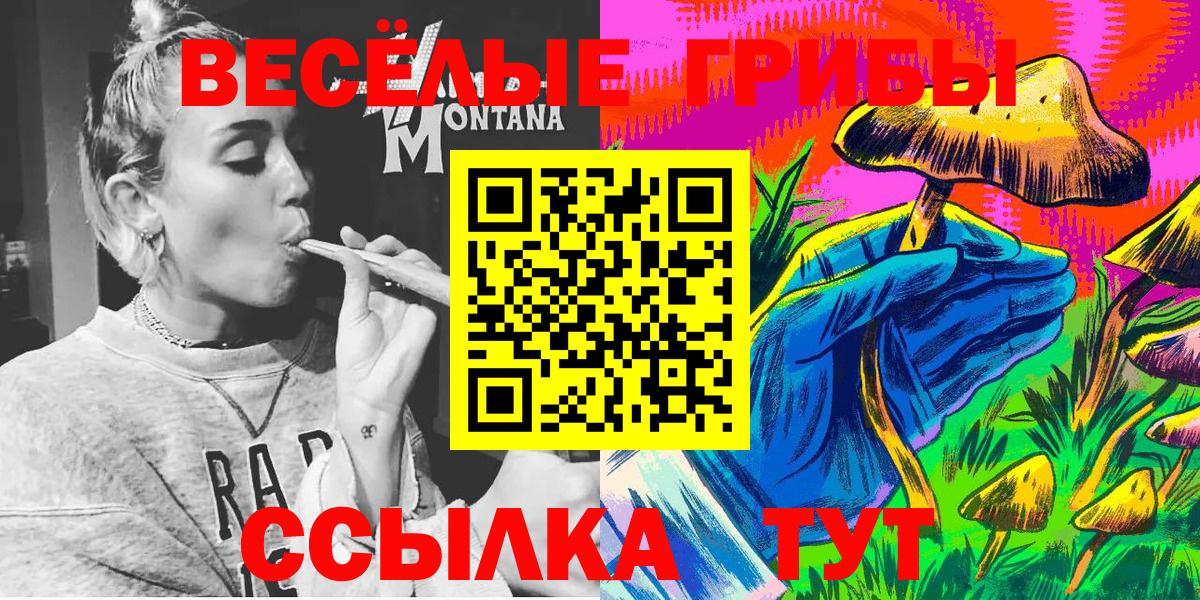 Тара  Псилоцибиновые грибы Psilocybe  Вход с VPN 