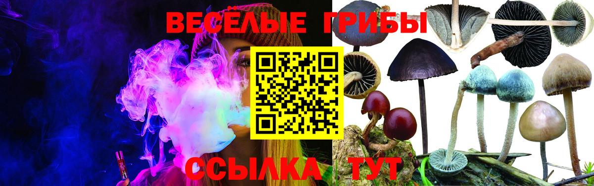 Галлюциногенные грибы Magic Shrooms Тара